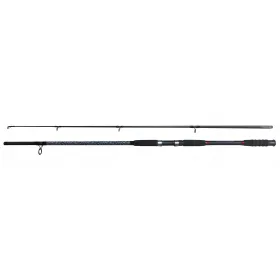 Wędka Zino CATFISH 300 up to 450g SUM